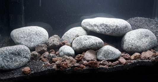 Galets granitiques naturels pour la pêche à la carpe - alternative écologique au plomb