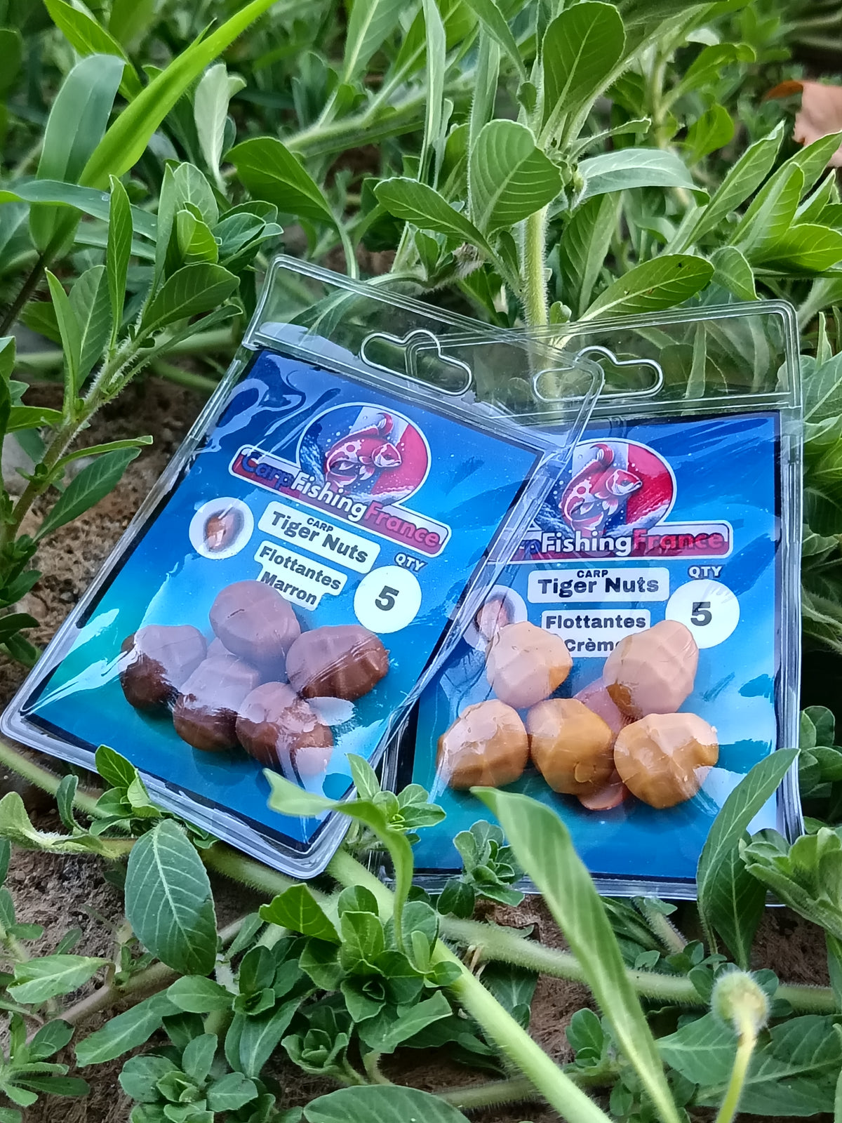 Noix tigrée artificielle flottante (5 pcs)